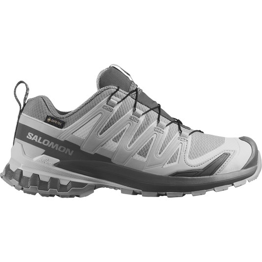 XA PRO 3D V9 GORE-TEX