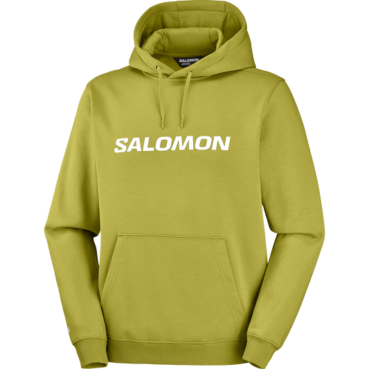SALOMON LOGO