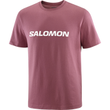 SALOMON LOGO