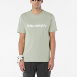 SALOMON LOGO