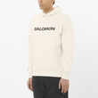 SALOMON LOGO