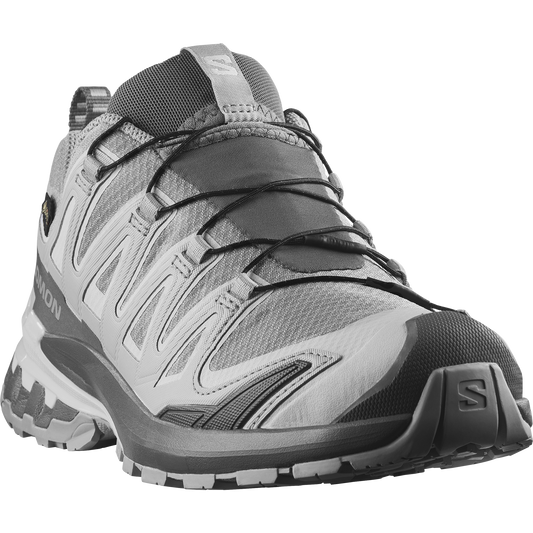 XA PRO 3D V9 GORE-TEX