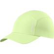 SHAKEout
